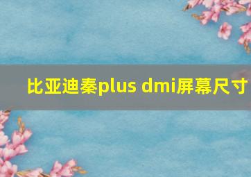 比亚迪秦plus dmi屏幕尺寸